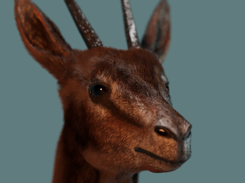 Wild Gazelle 3D Модель