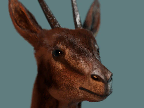 Wild Gazelle 3D Model