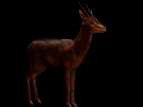 Wild Gazelle 3D Model