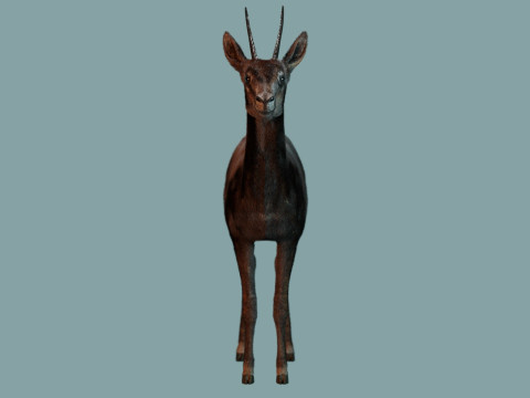 Wild Gazelle 3D Модель