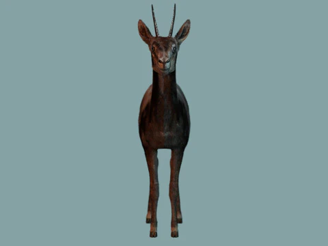 Wild Gazelle 3D Model