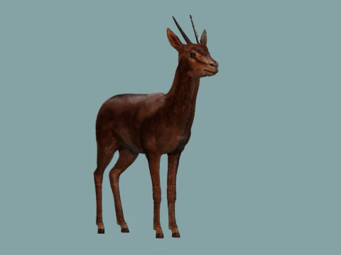 Wild Gazelle 3D Model
