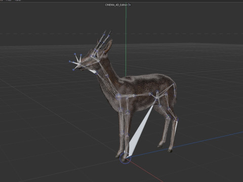 Wild Gazelle 3D Модель