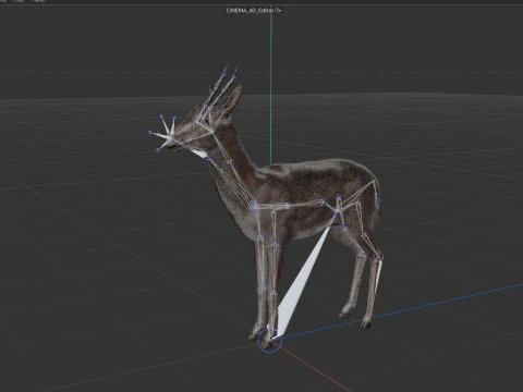 Wild Gazelle 3D Model