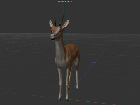 Wild Gazelle 3D Model