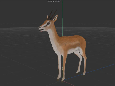 Wild Gazelle 3D Model