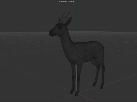 Wild Gazelle 3D Model