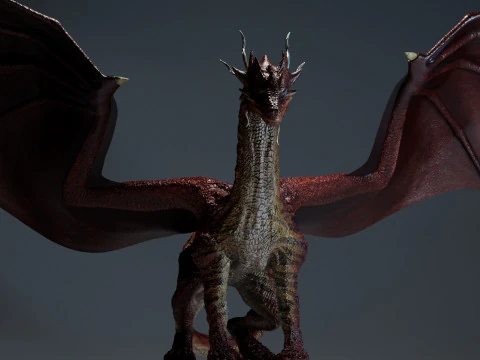 Red Dragon 3D Model