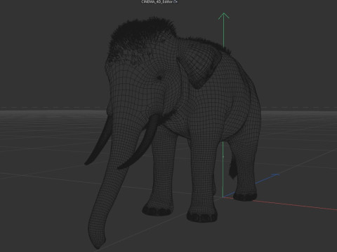 Indian Elephant 3D Model