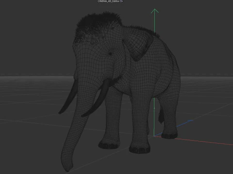 Indian Elephant 3D Model