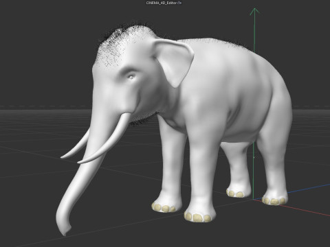 Indian Elephant 3D Model