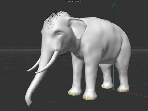 Indian Elephant 3D Model