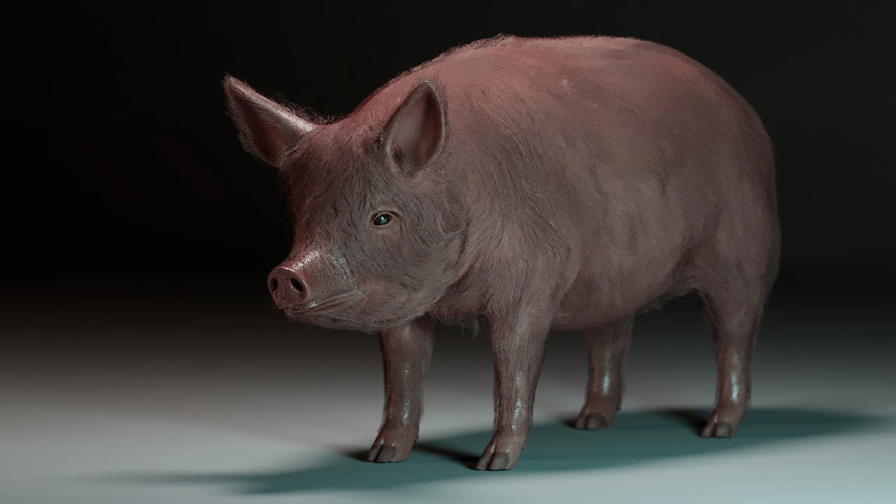 Pink Pig 3D Model .c4d .max .obj .3ds .fbx .stl .blend 