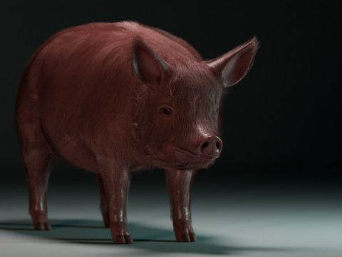 Pink Pig 3D Model