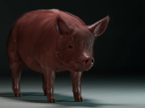 Pink Pig 3D Model