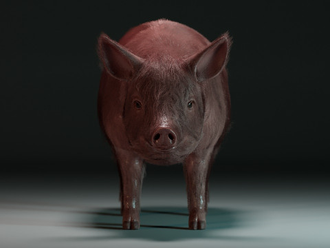 Pink Pig 3D Model