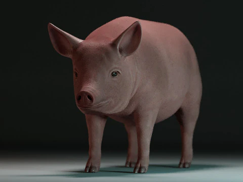 Pink Pig 3D Model