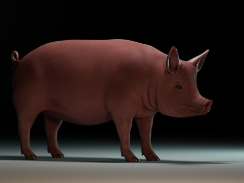 Pink Pig 3D Model