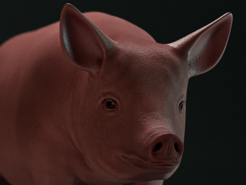 Pink Pig 3D Model