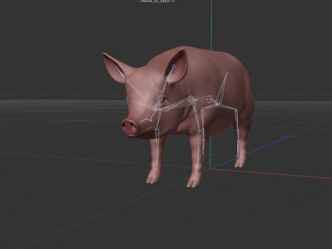 Pink Pig 3D Model