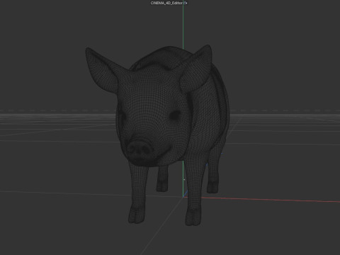 Pink Pig 3D Model
