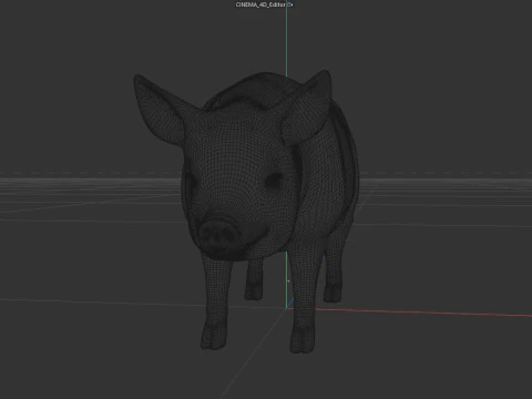 Pink Pig 3D Model