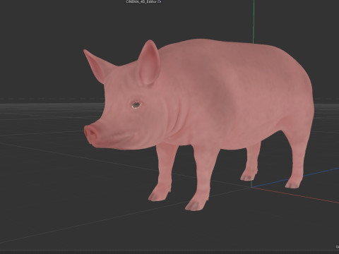 Pink Pig 3D Model