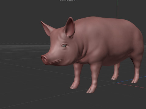 Pink Pig 3D Model