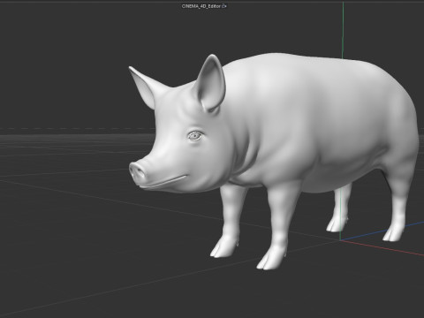 Pink Pig 3D Model