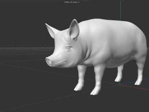 Pink Pig 3D Model