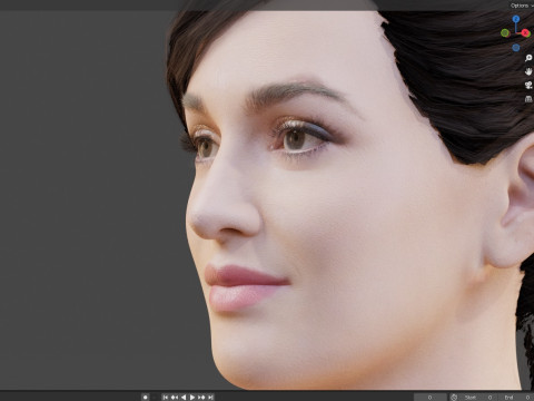 Leighton Meester 3D 模型