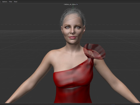 Katherine Heigl Model 3D