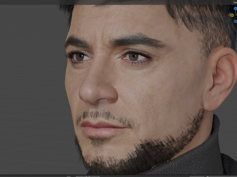 Robert Downey Jr Modelo 3D