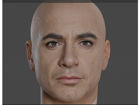 Robert Downey Jr Modelo 3D