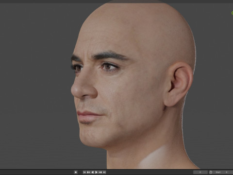 Robert Downey Jr Modelo 3D
