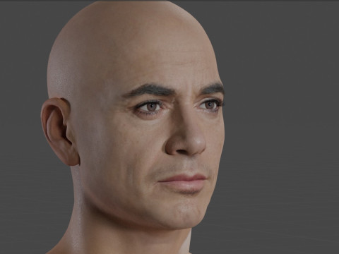 Robert Downey Jr Modelo 3D