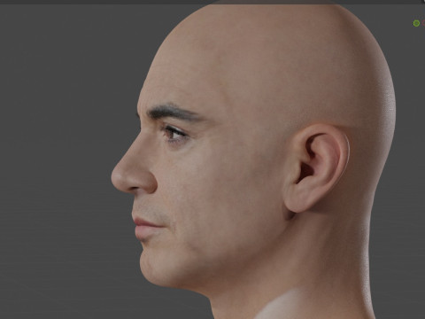 Robert Downey Jr Modelo 3D