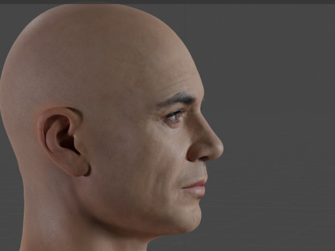 Robert Downey Jr Modelo 3D