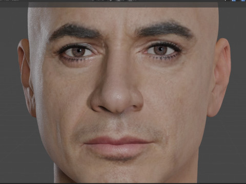 Robert Downey Jr Modelo 3D