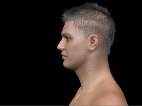 Tom Hardy Eddie Brock 3D Model