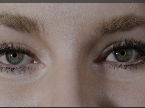 Shailene Woodley Model 3D