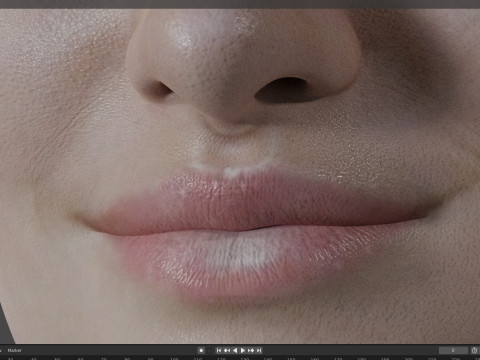 Shailene Woodley Model 3D