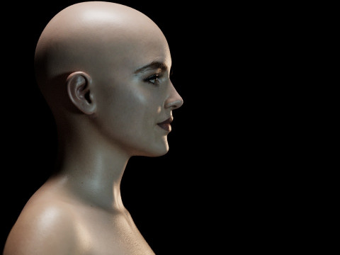 Florence Pugh 3D Model