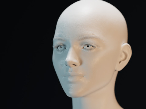 Florence Pugh 3D Model