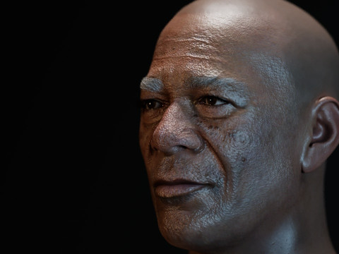 Morgan Freeman 3D 모델