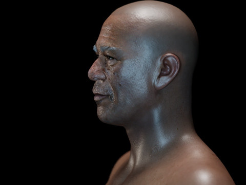 Morgan Freeman 3D 모델