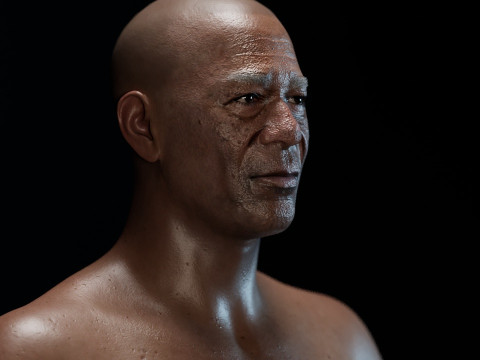 Morgan Freeman 3D 모델