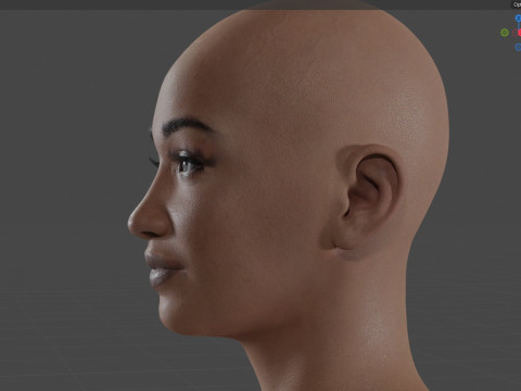 Cardi B Model 3D