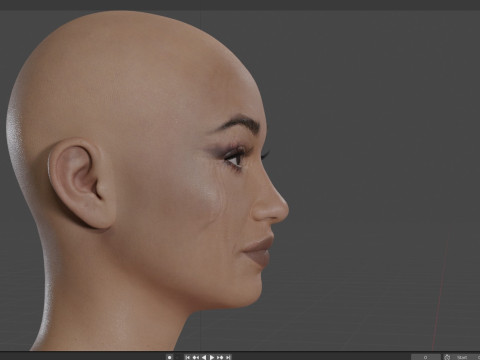Cardi B Model 3D