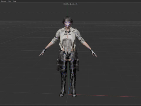 Lady DMC 3D Model